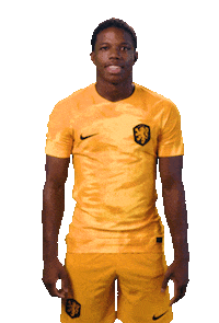 Fifaworldcup Celebrating Sticker by OnsOranje