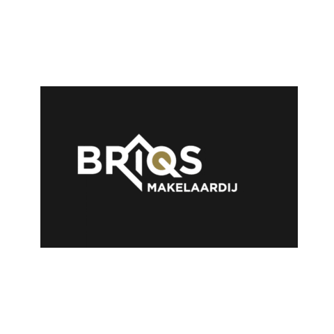 BRIQSMakelaardij giphyupload deventer briqs Sticker