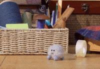 Scared Help Me GIF by Tweedy & Fluff