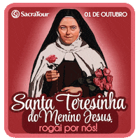 Santa Teresinha Outubro GIF by Sacratour