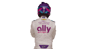 Hendrick Motorsports Nascar Sticker by AllyRacing