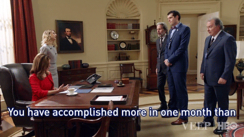 reid scott you have accomplished more in one month than most extremely stupid people do in a lifetime GIF by Veep HBO