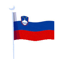 Flag Uefa Sticker by ITP Tires And Wheels