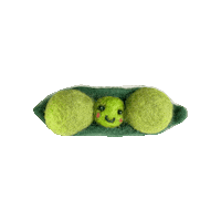 Vegetable Zero Waste Sticker by SEEDORGHK