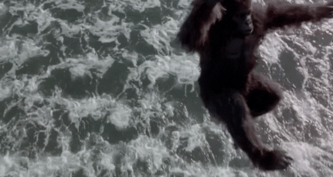 born to be wild monkey GIF by Warner Archive