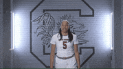 wbb19 gamecockfams GIF by gamecocksonline