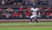 Baseball Nyc GIF by New York Mets