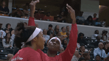 sport sky GIF by Indiana Fever