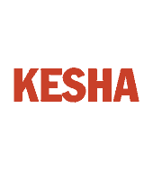 High Road Tour Sticker by Kesha