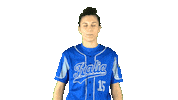 Italia Italiateam Sticker by FIBS - Federazione Italiana Baseball Softball