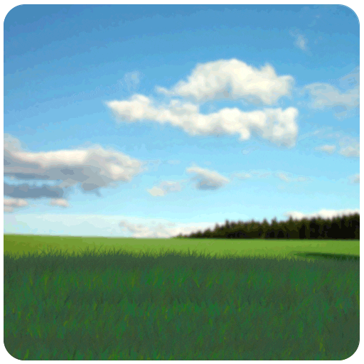 Garden Grass GIF by ccmdobrasil