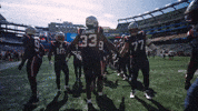 High Five Football GIF by New England Patriots