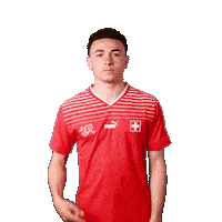 Ruben Vargas Link Sticker by Swiss Football Association