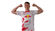 Willi Orban Football Sticker by RB Leipzig