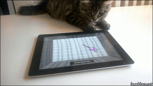 cats tablets GIF