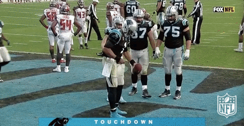 carolina panthers football GIF by NFL