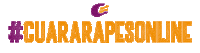 ShoppingGuararapes guara baixeoapp shoppingguararapes guararapes Sticker