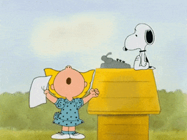 charlie brown GIF by Peanuts