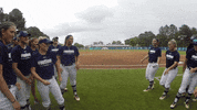 vwu_marlins marlins vwu wethebeach virginiawesleyan GIF