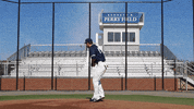vwu_marlins marlins vwu wethebeach virginiawesleyan GIF