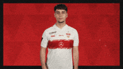 Vfb Stuttgart Football GIF by Bundesliga
