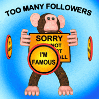 Monkey Influencer GIF