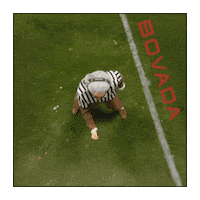 Football Field Tails Sticker by Bovada