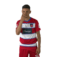 fch_1846 see you fch heidenheim hdh Sticker