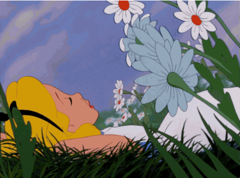 alice in wonderland animation GIF by Disney