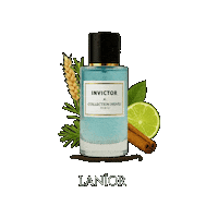 Citrus Parfum Sticker by Lanior