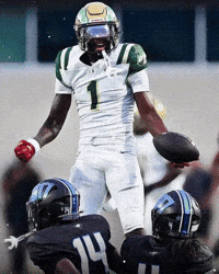 Desoto GIF