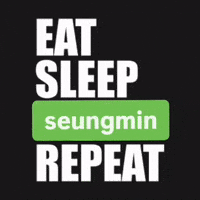 Stray Kids Seungmin GIF