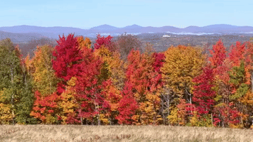 New Hampshire Mountains Boast Peak Fall Foliage