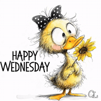 Wednesday Morning Fall GIF