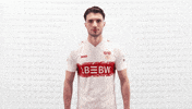 Vfb Stuttgart Love GIF by Bundesliga
