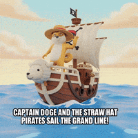 Waving One Piece GIF by Doge Pound