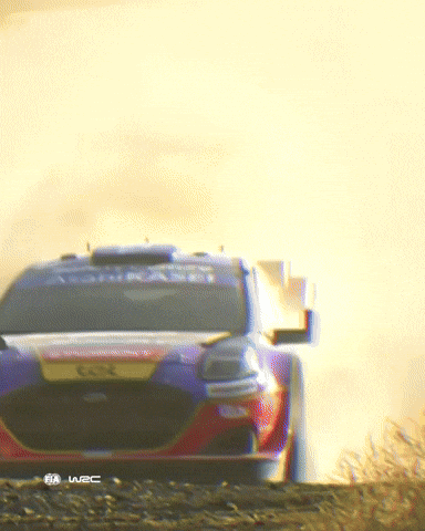 Bye Bye Greece GIF by FIA World Rally Championship