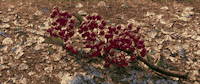 the good dinosaur GIF by Disney Pixar