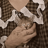 GIF by ellaknor