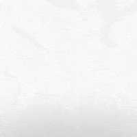 Hockey Home GIF by Eisbären Berlin