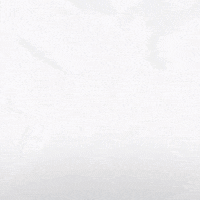 Hockey Home GIF by Eisbären Berlin