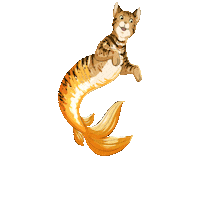 Vero Beach Cat Sticker by Brandee Anthony