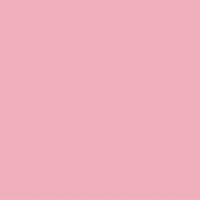 lagordafeminista selflove amor propio bodypositive soy suficiente GIF