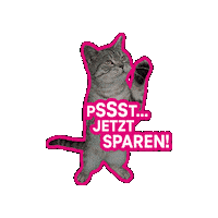 Cat Sparen Sticker by Deutsche Telekom