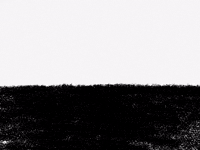 Growing World Tree GIF by Barbara Pozzi