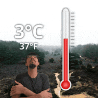 Three Degrees GIF