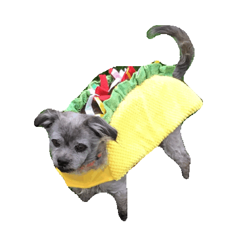 taco STICKER by imoji