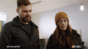 What Do You Think Chicago Pd GIF by One Chicago