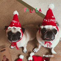 Merry Christmas GIF