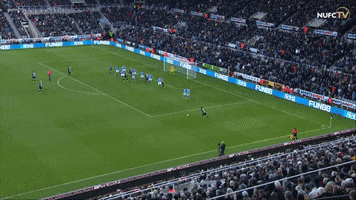 Man City Goal GIF by Newcastle United Football Club
